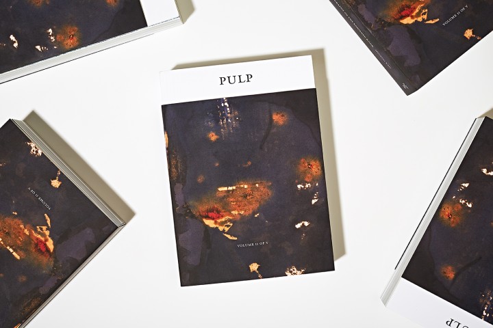 Pulp II: A Visual Bibliography of the Banished Book Vol. II of V